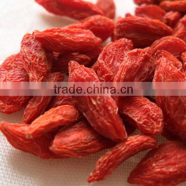 500grains/50g dried goji berry