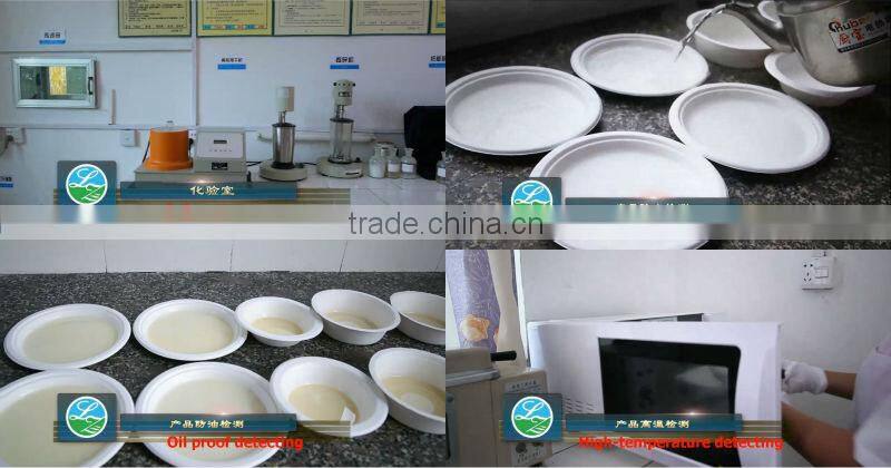 biodegradable food box