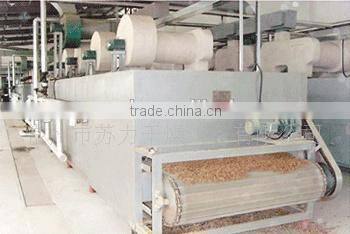 dried fruit/vegetable dryer equipment/machine