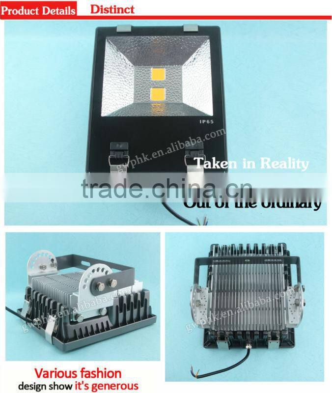 50W/100w LED Floodlight with CE/RoHS