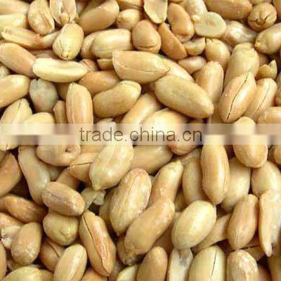 groundnut kernels