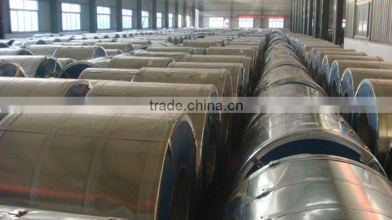 COLOR COATED STEEL COIL(PPGI)