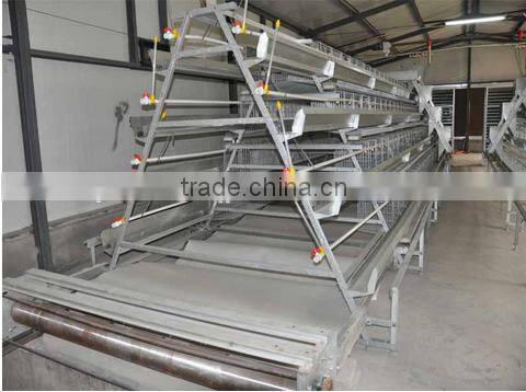 Chinese factory design steel A type laying cages for chicken