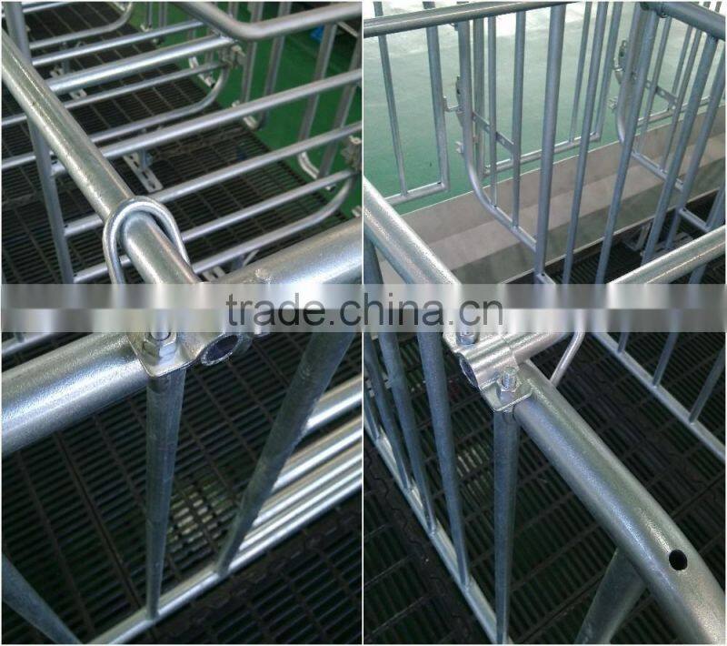 pig raising equipment and its price in