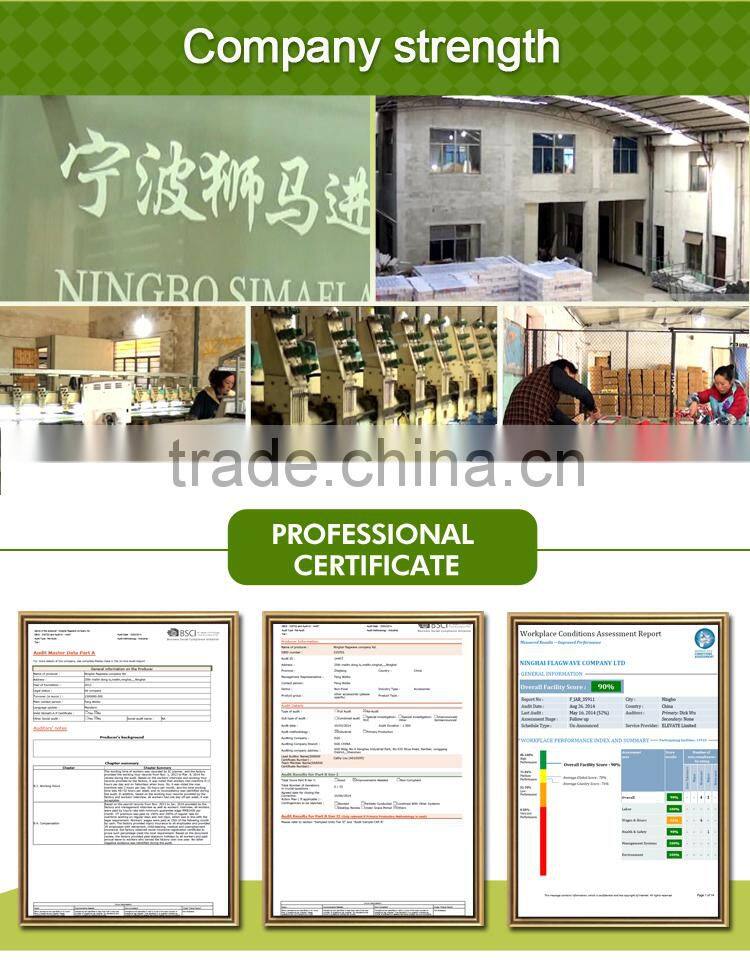 High Quality factory directly and lovely miniature wall flags