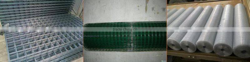 Galvanized welded wire mesh aviary wire mesh
