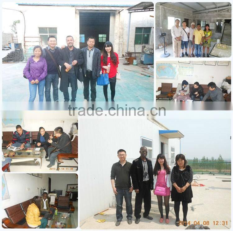 Hot Galvanized Automatic Battery Cage for Laying Hens