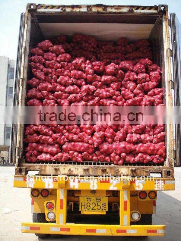 Supply fresh red onion and yellow onion