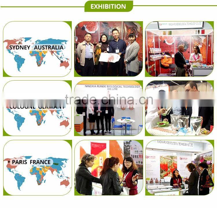 ningxia organic dried Chinese wolfberry/bulk goji berries