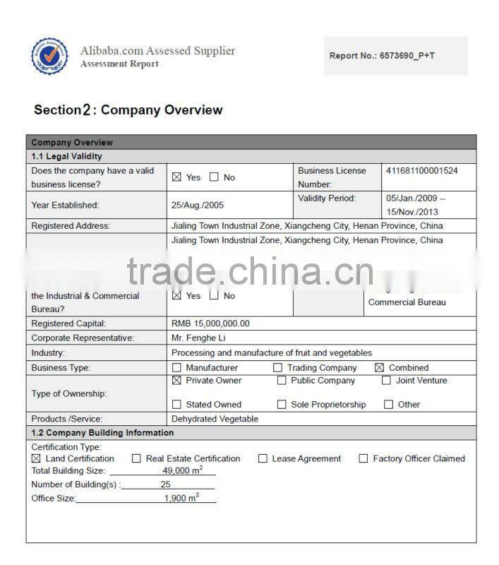 Exported Since 1992 Spices Garlic Onion Ginger Onion