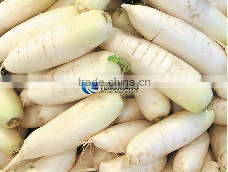 GL-380 commercial turnip potato carrot washing machine