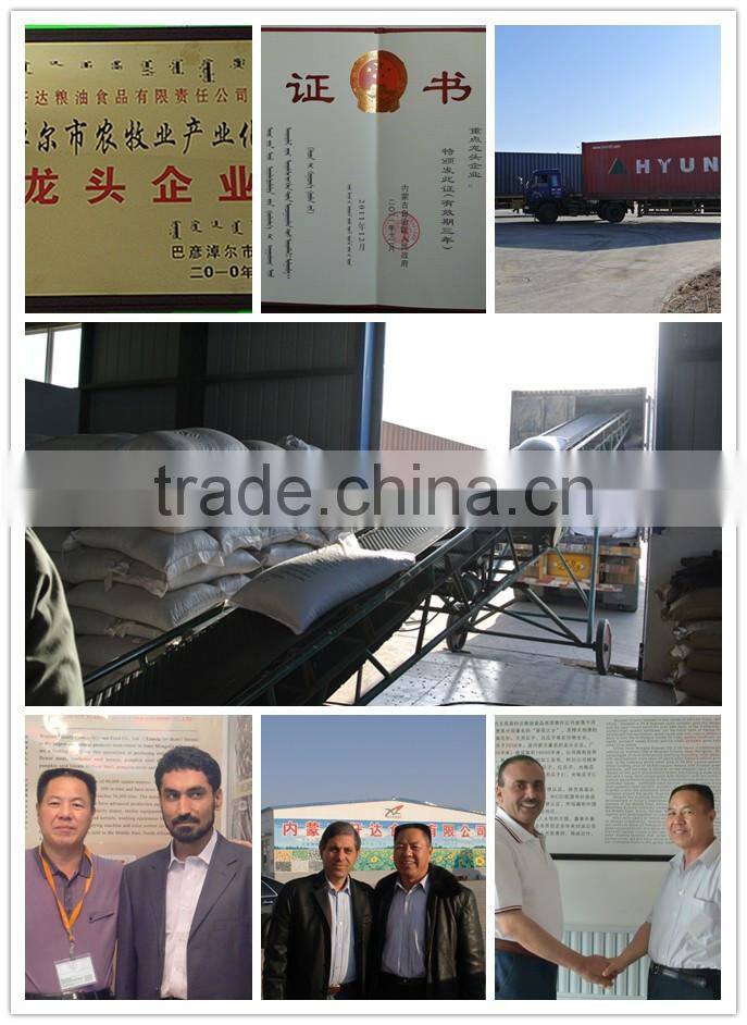 Good quality Watermelon seed Kernels