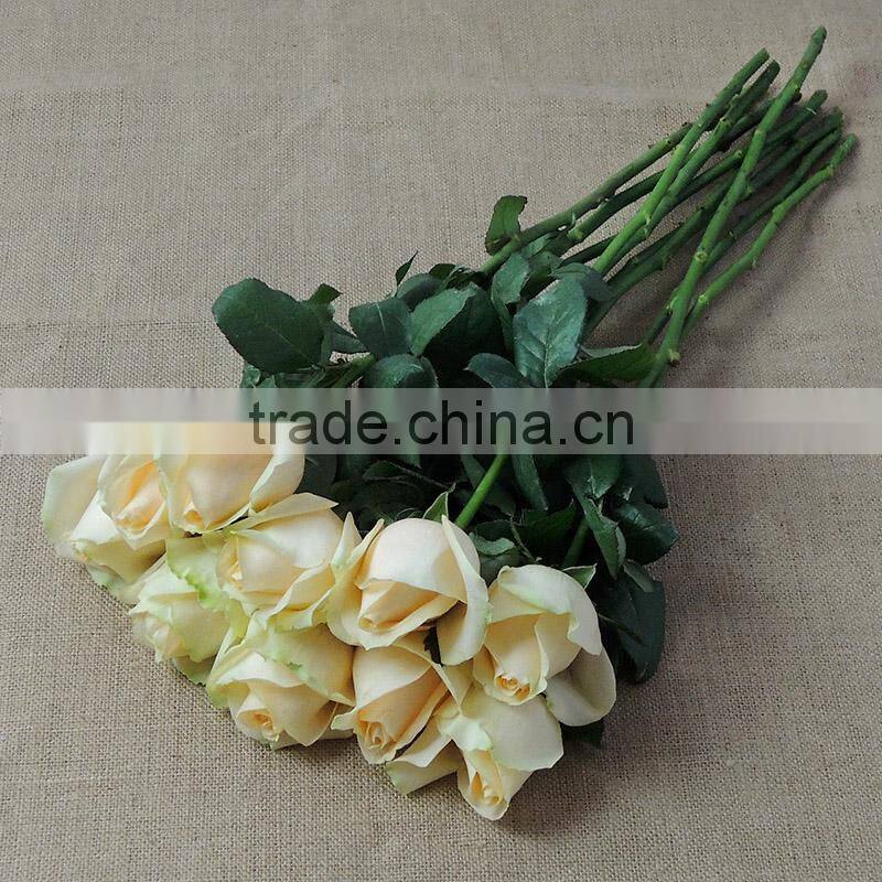 Hot sale fresh cut natural rose flowers from plants base