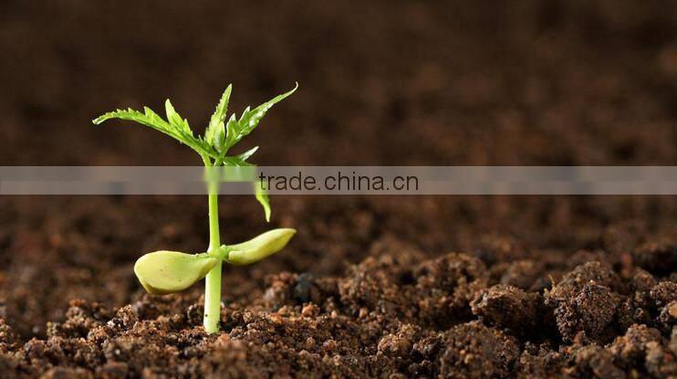 powder high 70% humic acid Manure Fertilizer