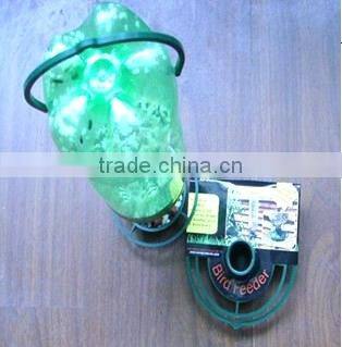 Garden repurpose Wild soda bottle top bird feeder