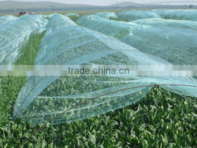 50gsm Transparent Anti Hail Nets protect plant from damage