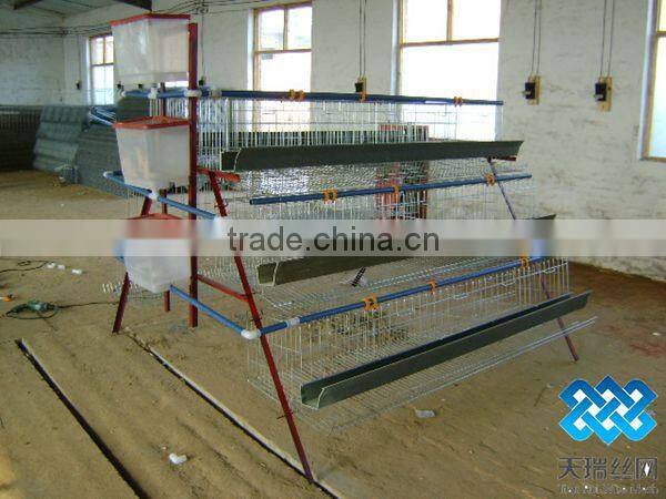 hot sales A type chicken cage for chicken farm