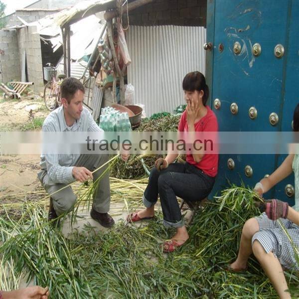 willow basket material cheap supermaket basket cone basket