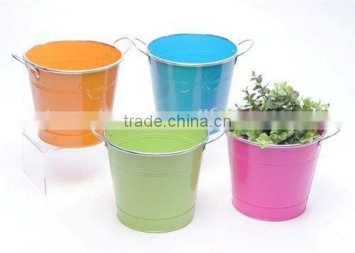decorative/multifunctional metal bucket with competitive price