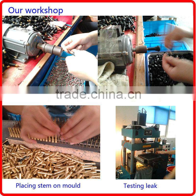 snap in tubeless tire valve TR413