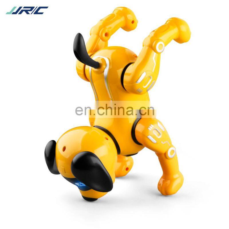 2022 New RC Robot JJRC R19 Intelligent Toy Interactive Singing Storytelling Remote Control Robot Dog Gift For Kids
