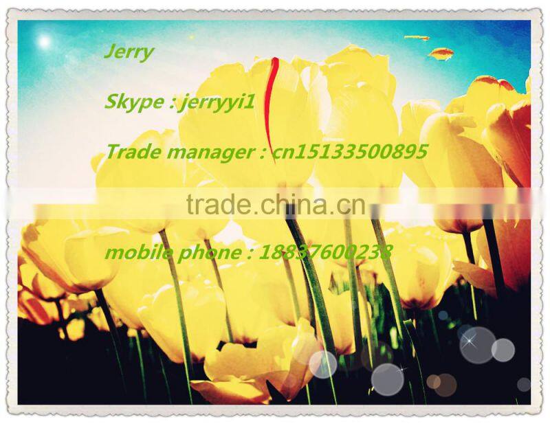 New and orginal brand ST3300656SS 300GB/ 15K /3.5"/ SAS with high quality