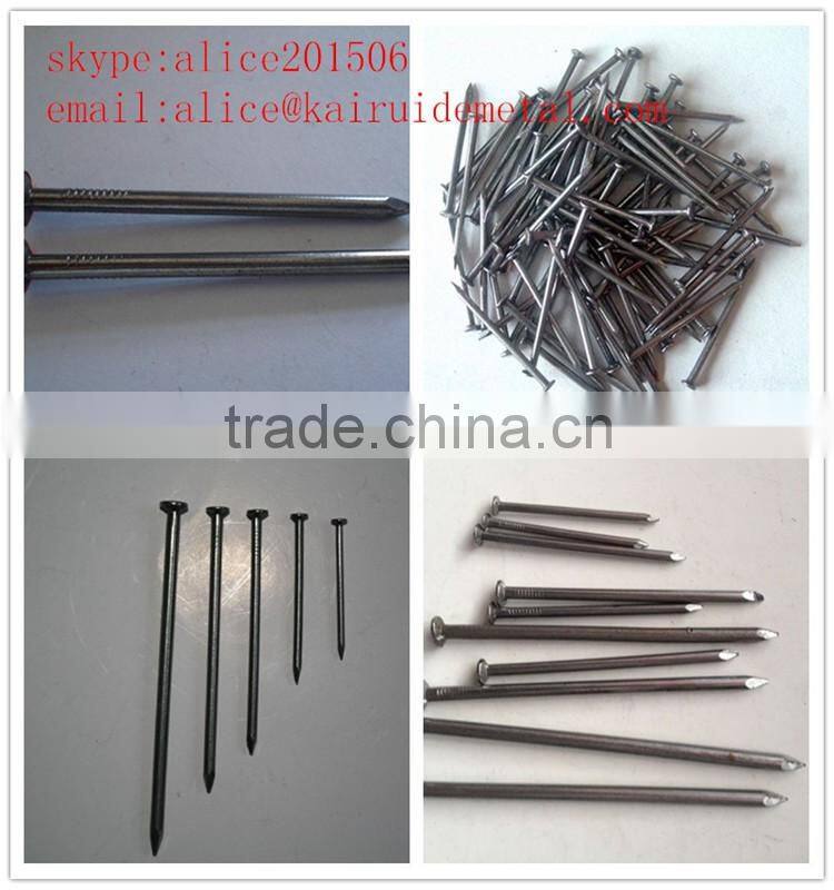 factory high quality common iron wire nail 1"-6"/stainless common iron wire nail