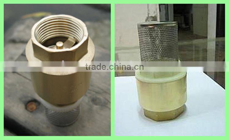 CV-DS008 ISO 228 brass check valve with filter