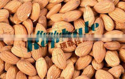 900kg/h Almond crush machine