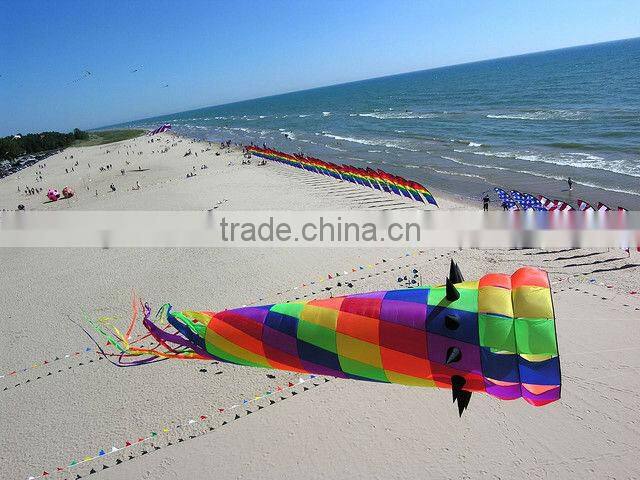 larger size beautiful fish windsock