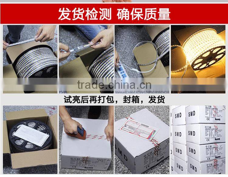 SV 220V IP65 2835Flexible Rope LED Strip WHITE Party Xmas Lamp BLUE 220V2835 156LEDS/M