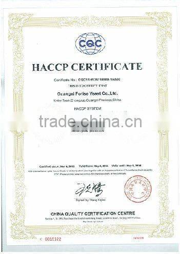 that dry yeast 500 gram instant dry Yeast