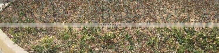 Alibaba China No flicking LED Panel Lamp 18w