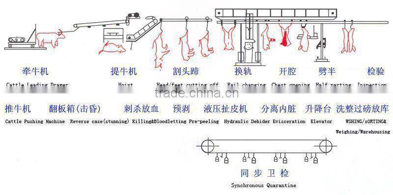 Cattle slaughter line cattle slaughter machine rail change line