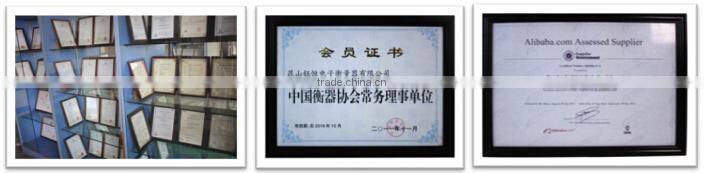 OIML digital electronic 20 ton truck scale for industrial