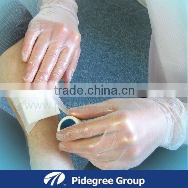 Disposable Vinyl Gloves