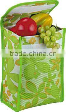 New Outdoor Foldable Cooler Bag, Multifunctional Use Fashion cooler bag