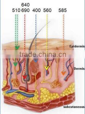 New designed two handles SHR fast hair removal ipl xenon flash lamp