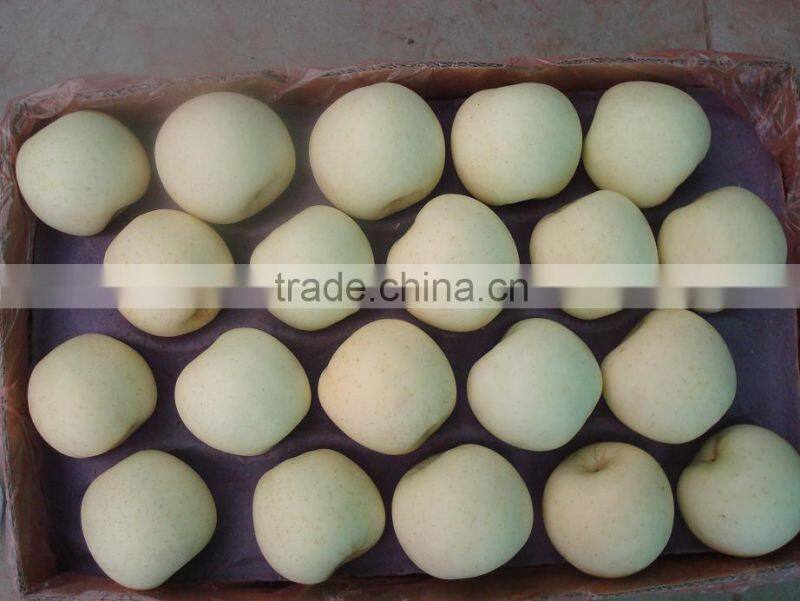 Chinese Golden Pear 9kg 18kg Carton