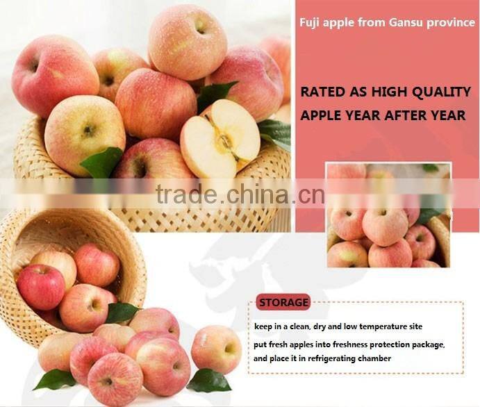 2016 Fresh Fuji apple from China Fresh Fuji apple price