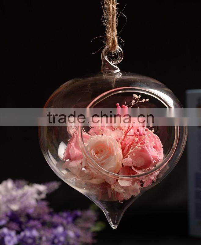 clear glass Vase glass Landscape bottle 2 sizes hanging available