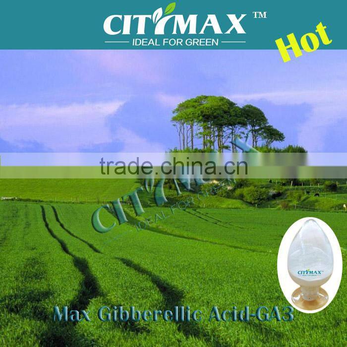 HOT!!! Gibberelic Acid Powder for sale
