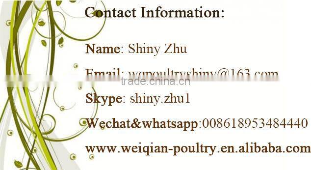 quail bird drinking water bowls drinking fountain bird dove semi automatic water bowl