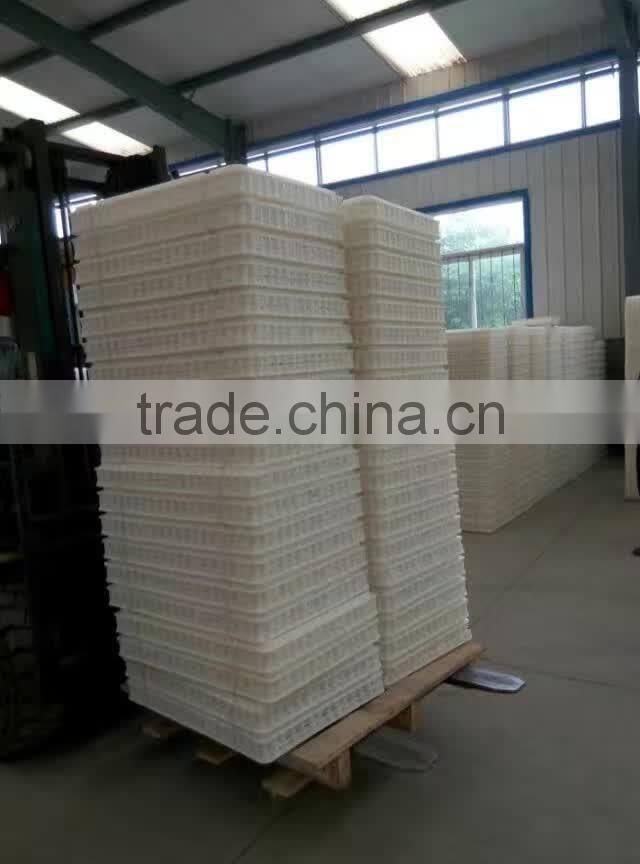 chicken transport trays