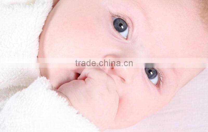 Nutritional Rice Powder Processing Line/Extruder Machine