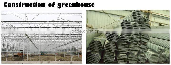 Multi Span Plastic Roofing Sheets Agricultural Commercial Greenhouses for sale