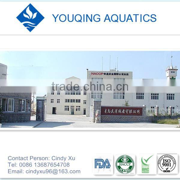 Export seasoned Hairong from China