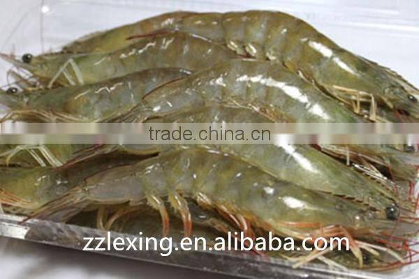 frozen vannamei white shrimp