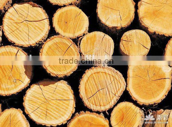 Manual Foot Operated Log Splitter,BR001SP