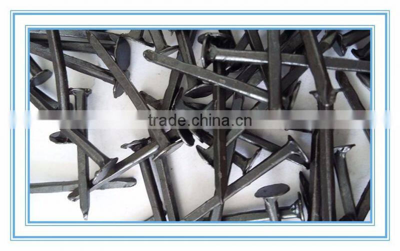 cheaper price shoe nail,factory product